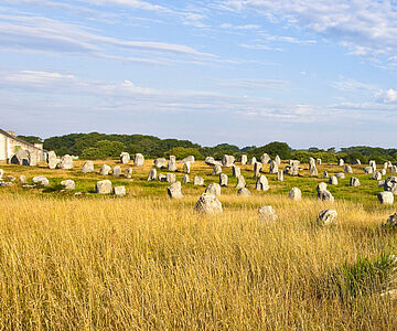 Carnac Menhire
