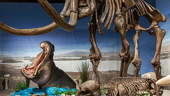 Flusspferd und Mammut am Oberrhein