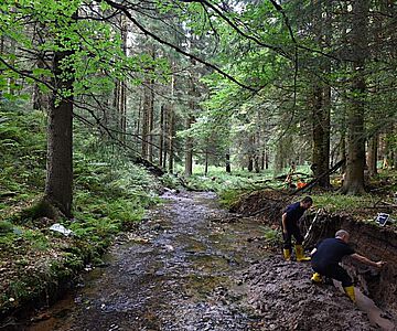 Landschaftsarchäologische Untersuchungen entlang eines Bachlaufs im Fichten-Buchenwald im Osterzgebirge