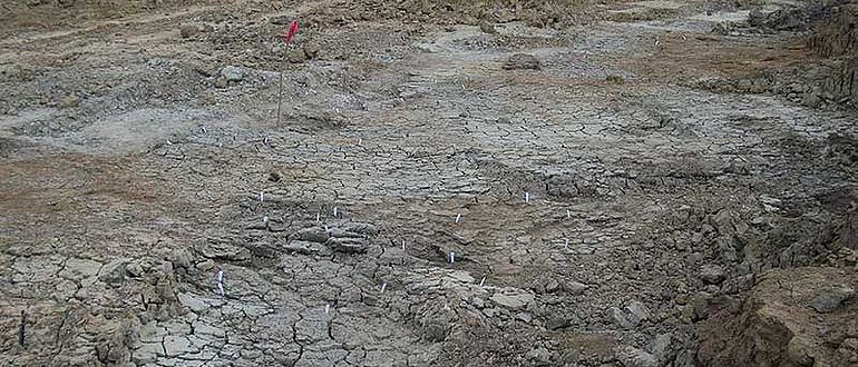 Aufgedeckte Brandgräber