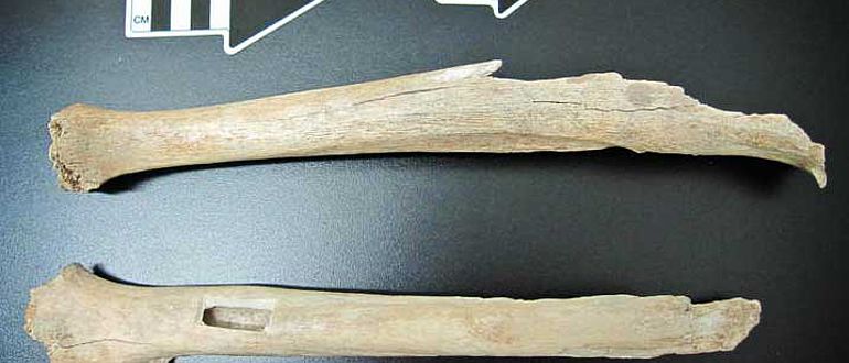 Beinknochen aus Tianyuan