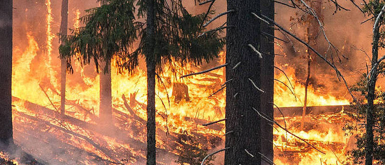 Waldbrand