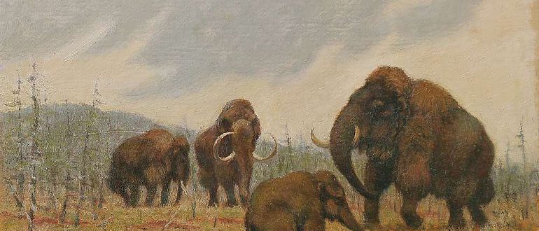Mammutgruppe mit Jungtier