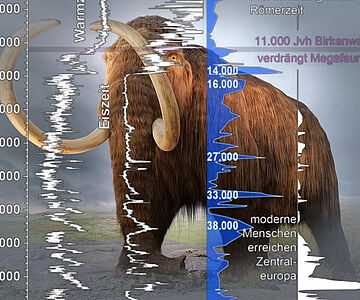 Birkenwald verdrängt Megafauna
