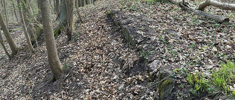 Metilstein. Eine vorher freigelegte Mauer ist jetzt wieder mit Erdreich angedeckt