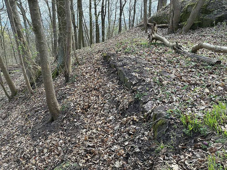 Metilstein. Eine vorher freigelegte Mauer ist jetzt wieder mit Erdreich angedeckt Metilstein. Eine vorher freigelegte Mauer ist jetzt wieder mit Erdreich angedeckt