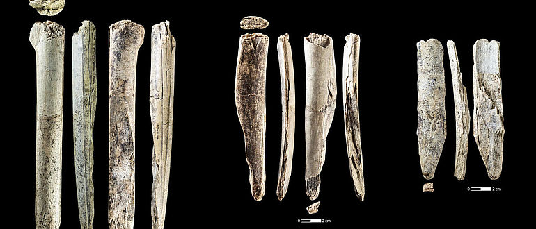 Elfenbeinmeissel vom Hohle Fels