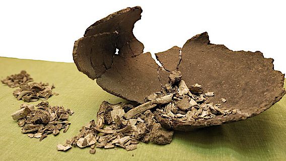 Eine Urne aus der späten Bronzezeit, die verbrannte menschliche Überreste beinhaltete
