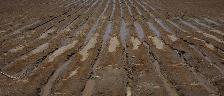 Die Bewässerung mit sedimentbefrachtetem Flusswasser ließ mächtige Terrassen entstehen