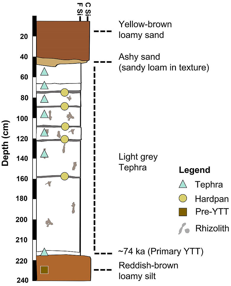 Lithostratigraphie von JWP2020