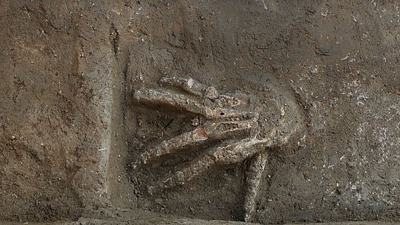 Abgehackte Hand mit gespreizten Fingern und Handfläche nach unten während der Ausgrabung