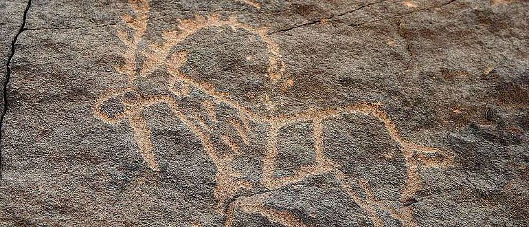 Petroglyphe in Bir Hima in Saudi Arabien Petroglyphe in Bir Hima in Saudi Arabien
