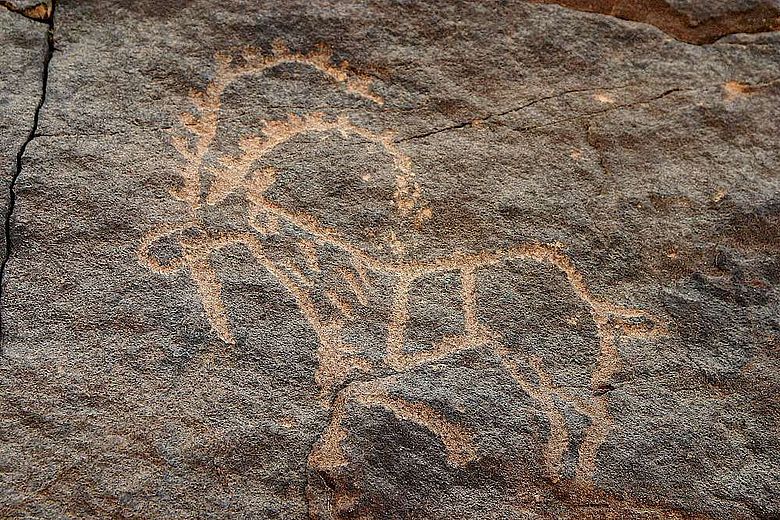 Petroglyphe in Bir Hima in Saudi Arabien
