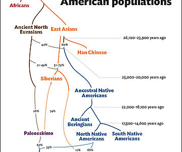 Genetischer Stammbaum amerikanischer Ureinwohner