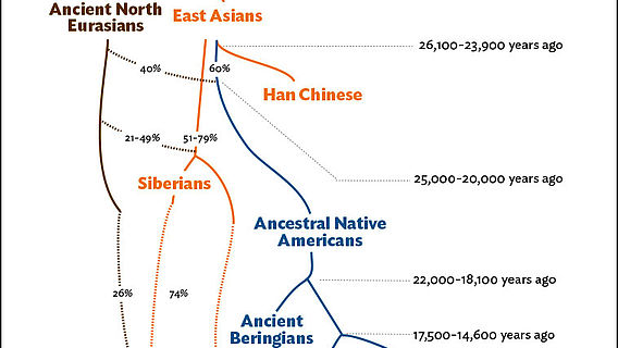 Genetischer Stammbaum amerikanischer Ureinwohner