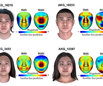 Gesichtsrekonstruktionen