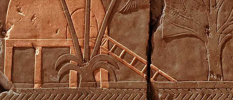 Darstellung eines Hauses in Punt auf einem Relief in der Punthalle des Totentempels der Hatschepsut (Foto von Hans Bernhard (Schnobby), CC-BY-SA, Hervorhebung A. Brunn) Darstellung eines Hauses in Punt auf einem Relief in der Punthalle des Totentempels der Hatschepsut (Foto von Hans Bernhard (Schnobby), CC-BY-SA, Hervorhebung A. Brunn)