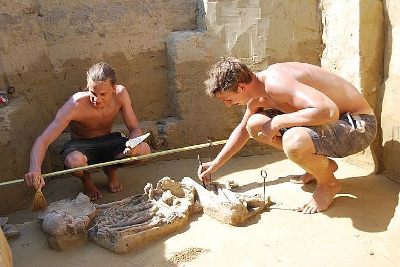 Archäologen bei der Freilegung des "reichsten" Grabes des Gräberfeldes aus der Frühen Bronzezeit (Foto: NÖ Museum für Urgschichte)