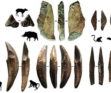 Werkzeuge aus Knochen und die Tiere, von denen diese Knochen stammen aus Fa-Hien Lena