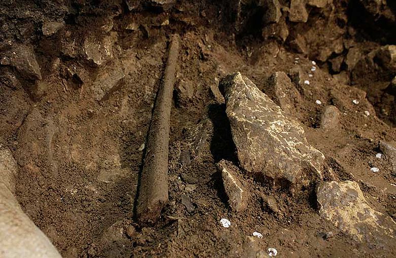 Eiszeitliches Knochenartefakt in Fundlage