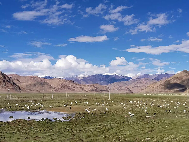 Weideland im tibetischen Hochland
