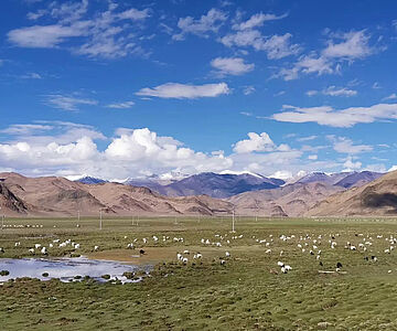 Weideland im tibetischen Hochland