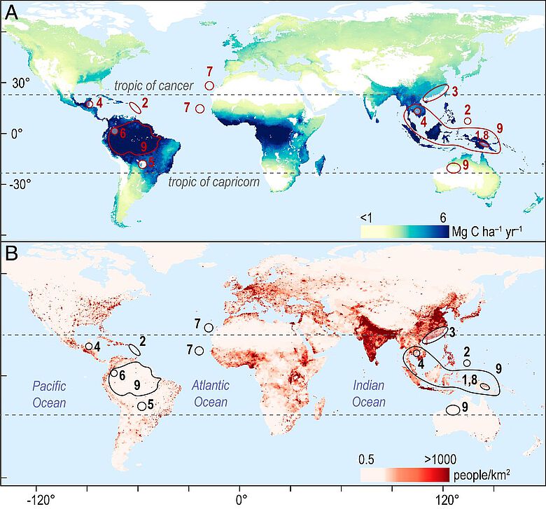 Weltkarte Kohlenstoffspeicherung, Besiedlung