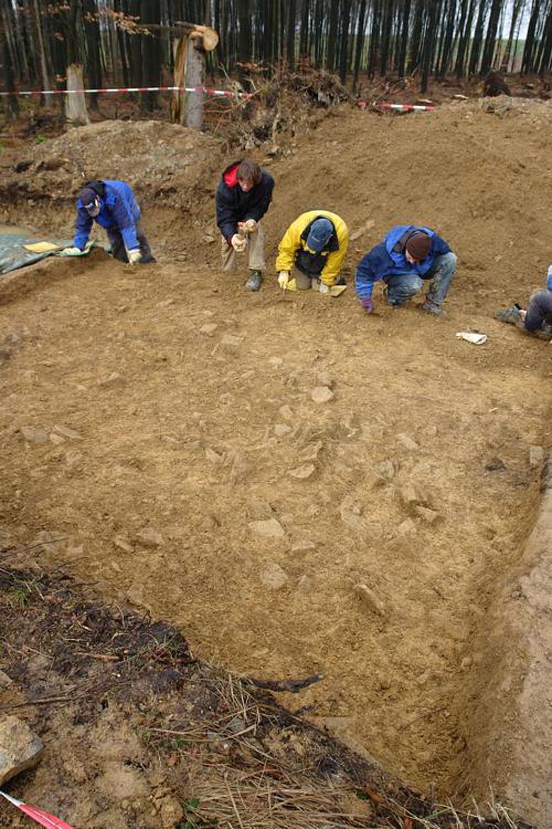 Die LWL-Archäologen ebnen mit Kelle und Kratzer die Fläche unter dem Wall des Römerlagers Kneblinghausen