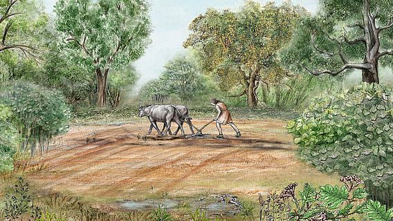 Zeichnung: Ackerbau in der Jungsteinzeit