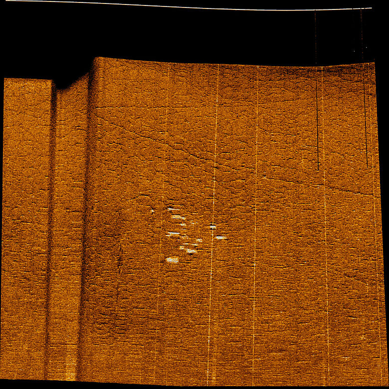 Sonaraufnahme des Seegrunds mit Holzfässern Sonaraufnahme des Seegrunds mit Holzfässern