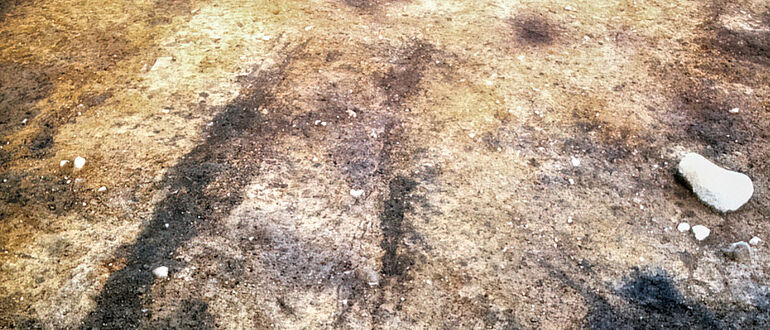 Neolithische Wagenspuren Flintbek