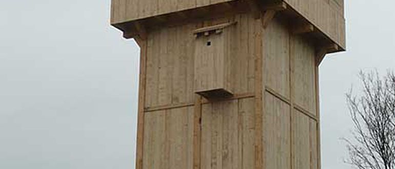 Die rekonstruierte Motte auf dem Gelände des LWL-Museums für Archäologie in Herne (Foto: LWL)