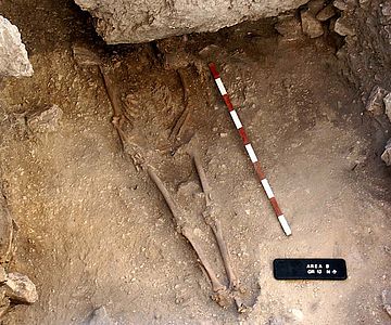 Das Skelett eines 15.000 Jahre alten anatolischen Jägers und Sammlers