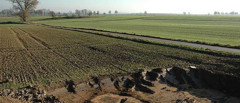 Bereits im vergangenen Jahr konnten die LWL-Archäologen die ersten Gräber aus der Zeit der Linienbandkeramik in Warburg sichern. Inzwischen dokumentierten die Wissenschaftler über 20 Grabstätten. (Foto: LWL/M.Hahne)