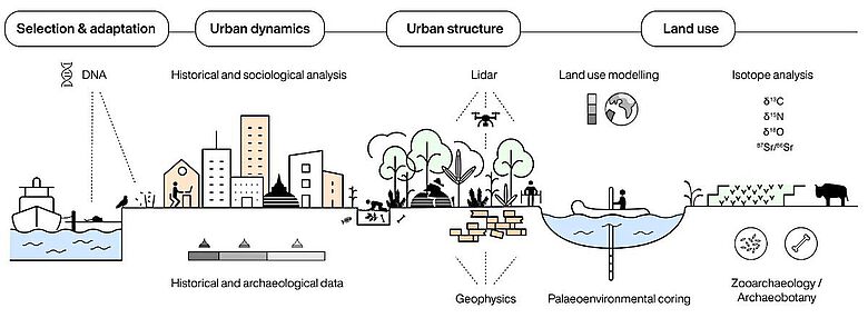 Multidisziplinäre Ansätze in der Stadtarchäologie liefern eine Fülle von Informationen darüber, wie Städte ihre Umwelt formen und von ihr geformt werden