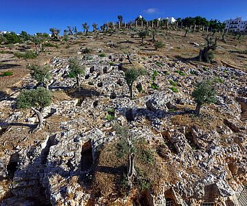Punische Nekropole auf Ibiza