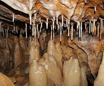 Aktive Tropfsteinbildung in einem Seitenbereich der Kleinen Teufelshöhle