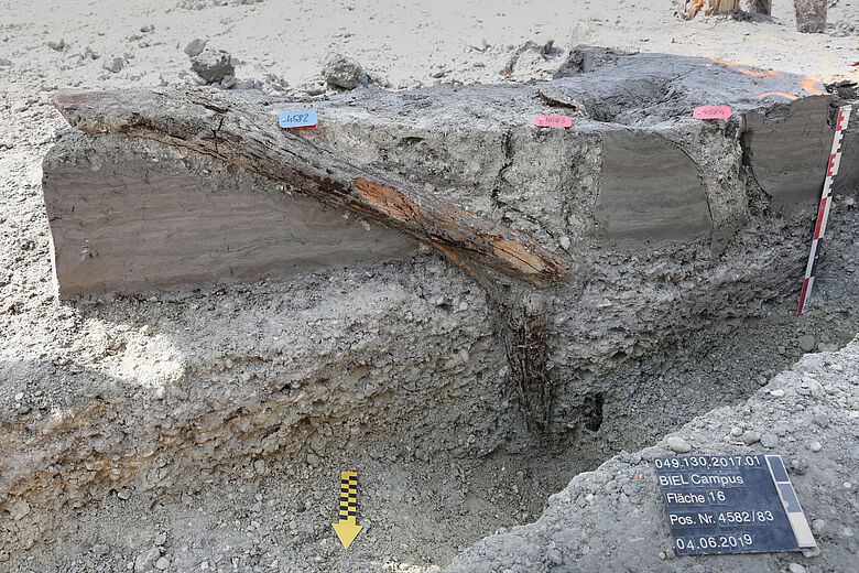 Pfahl eines Gebäudes