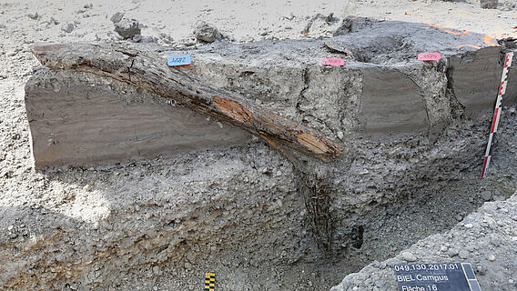 Pfahl eines Gebäudes