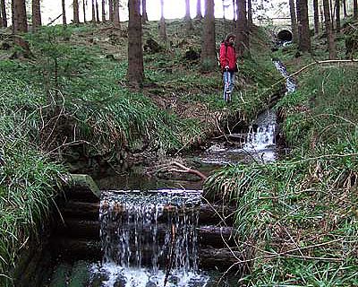 Der Nabentaler Graben bringt die Wasser des Bruchberges, des zweithöchsten Berges Niedersachsens, über den Dammgraben mit dem Sperber Damm auf die Clausthaler Hochfläche. (&copy; Peter Welke)