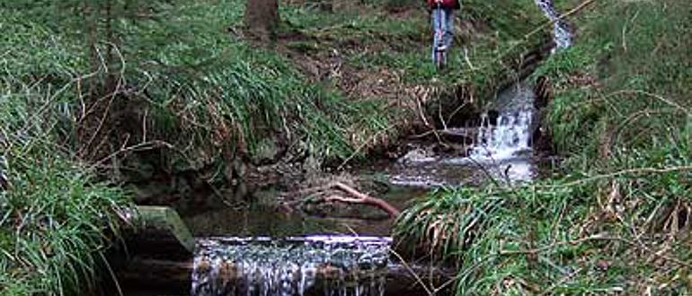 Der Nabentaler Graben bringt die Wasser des Bruchberges, des zweithöchsten Berges Niedersachsens, über den Dammgraben mit dem Sperber Damm auf die Clausthaler Hochfläche. (&copy; Peter Welke)