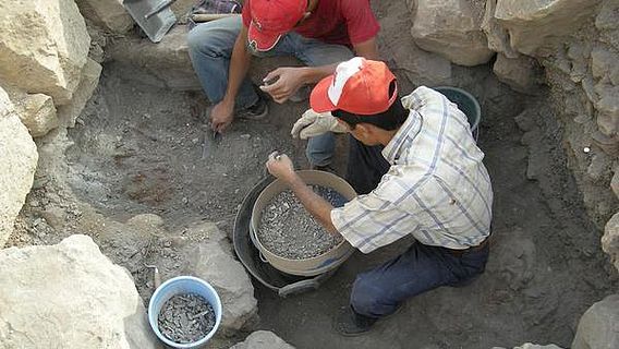 Über 300.000 Knochen haben die Wissenschaftler auf dem Dülük Baba Tepesi gefunden