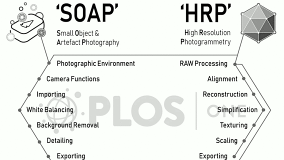 Arbeitsablauf und Berechnungsschritte für die "SOAP"- und "HRP"-Methoden