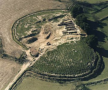 Luftaufnahme der früheisenzeitlichen Siedlung Alto de la Cruz, Navarra