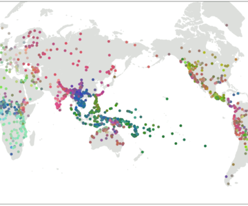 Grammatikalische Ähnlichkeit von Sprachen in den Grambank-Daten