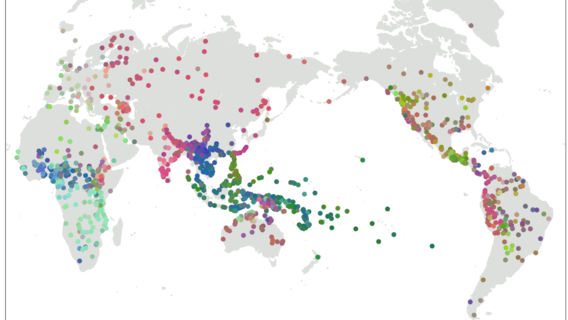 Grammatikalische Ähnlichkeit von Sprachen in den Grambank-Daten