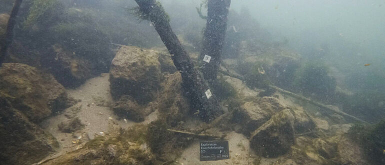 Pfähle der Römerbrücke aus dem 4. Jahrhundert.