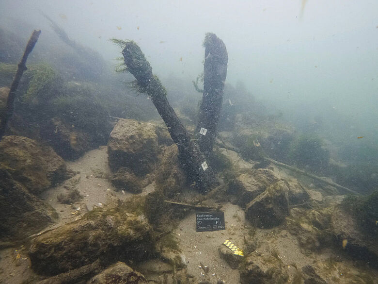 Pfähle der Römerbrücke aus dem 4. Jahrhundert.