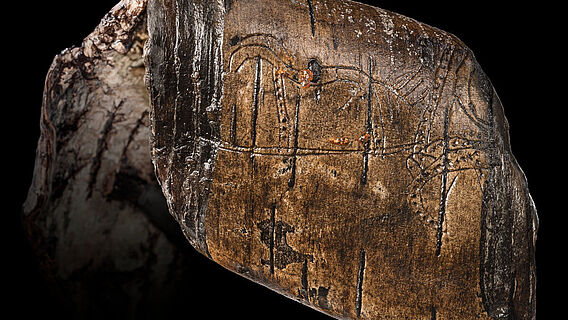 Birkenrindenstreifen mit Abbildung eines Hengstes