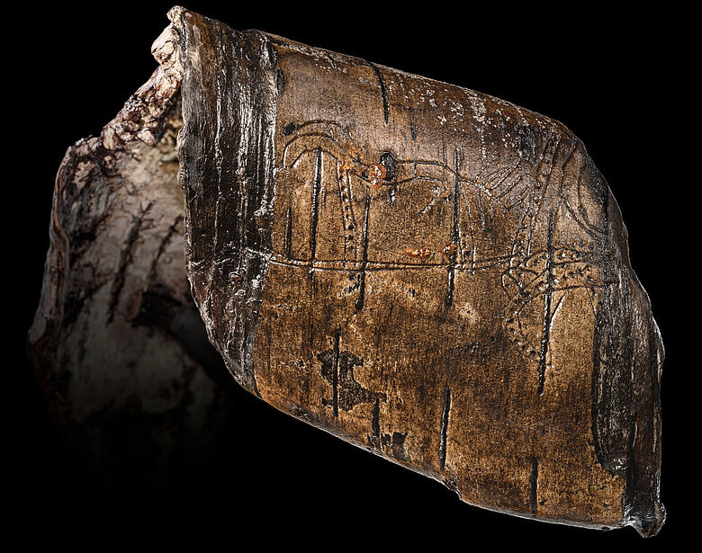 Birkenrindenstreifen mit Abbildung eines Hengstes